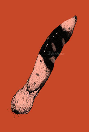 Devil's Dipstick Stinkhorn