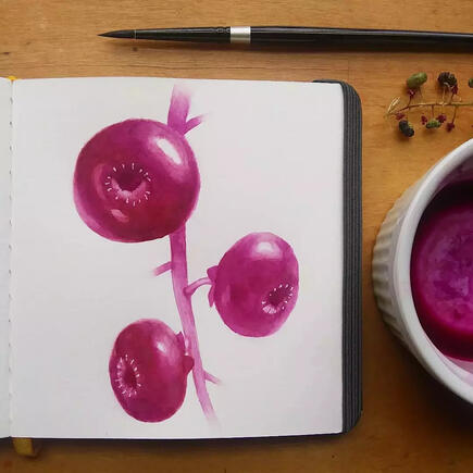 Pokeberries (in pokeberry ink)