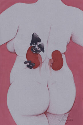Kidneys