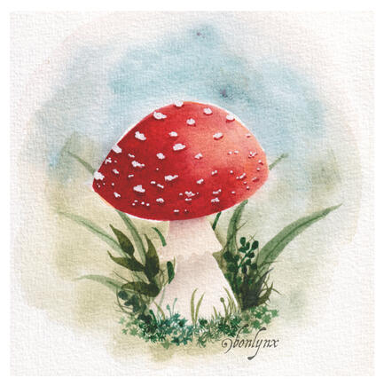 Amanita muscaria Mushroom